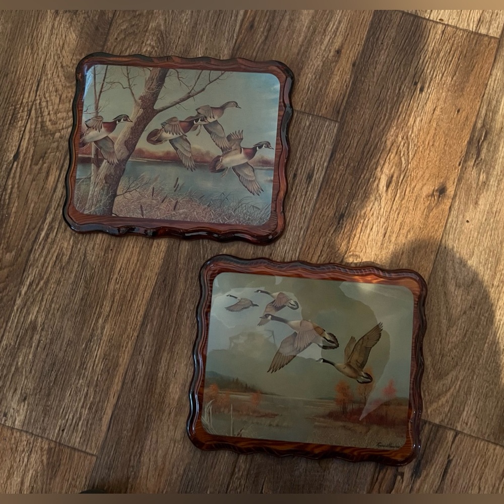 Vintage Ruane Mallard Duck Acrylic Wall Hangings